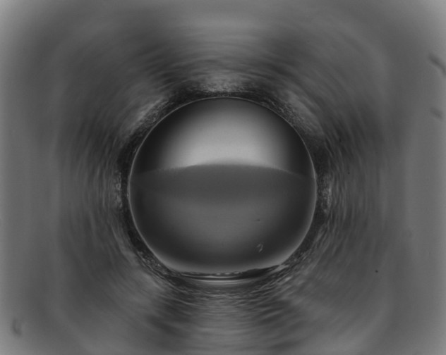 X0000091910547200709121519