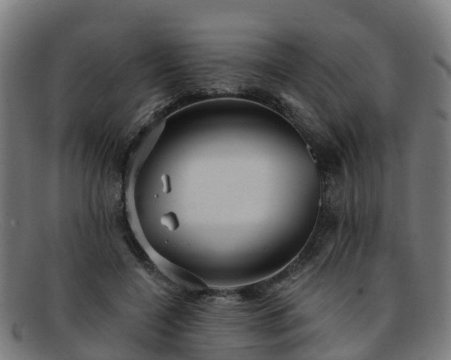 X0000091910548200709121519