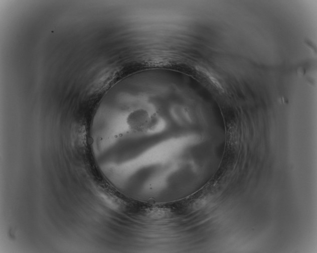 X0000091910549200709121519