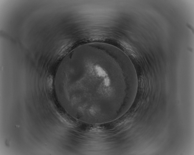 X0000091910550200709121519