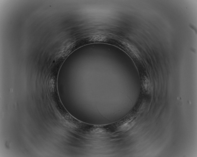 X0000091910551200709121519