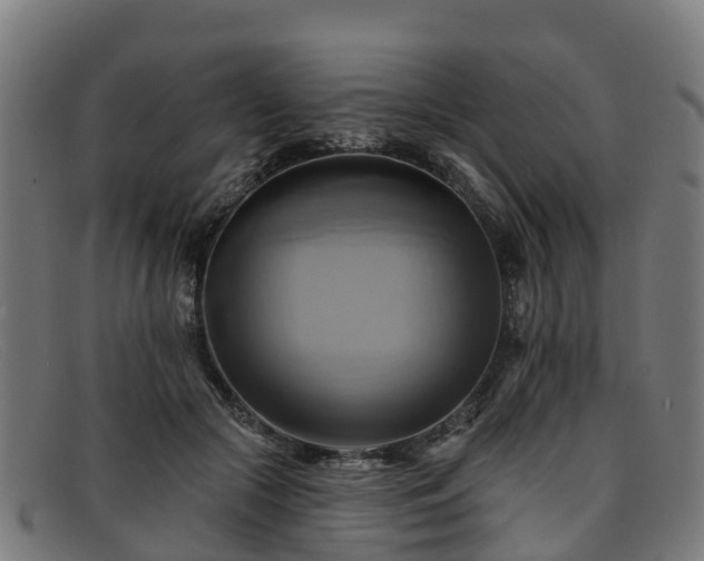 X0000091910553200709121519