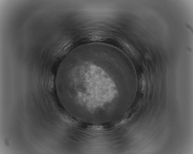 X0000091910554200709121519