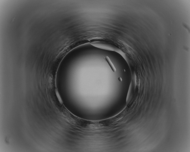 X0000091910556200709121519