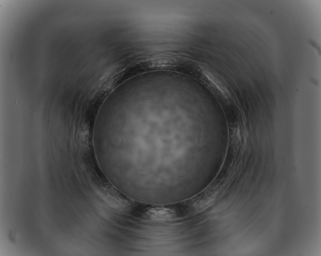 X0000091910557200709121519