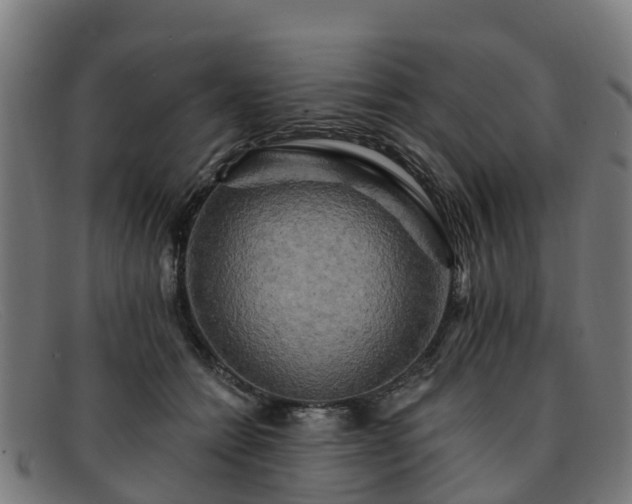 X0000091910558200709121519