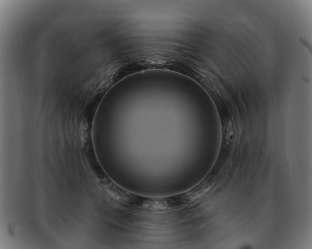 X0000091910559200709121519