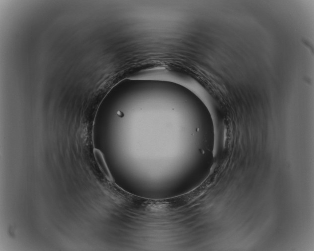 X0000091910560200709121519