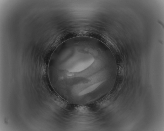 X0000091910561200709121519