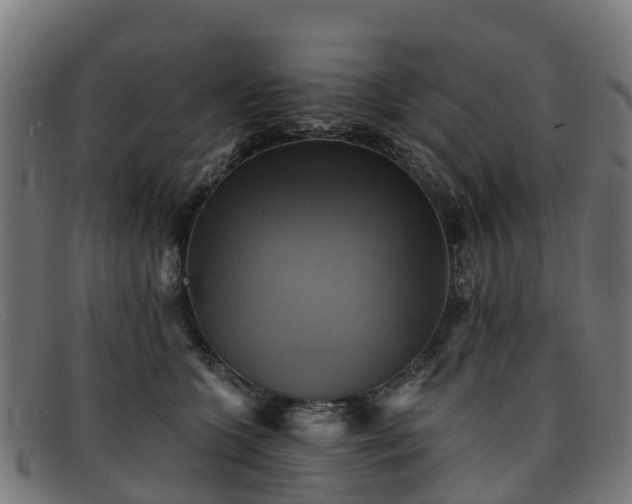 X0000091910563200709121519