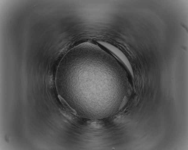 X0000091910564200709121519