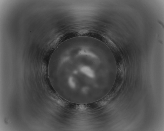 X0000091910565200709121519