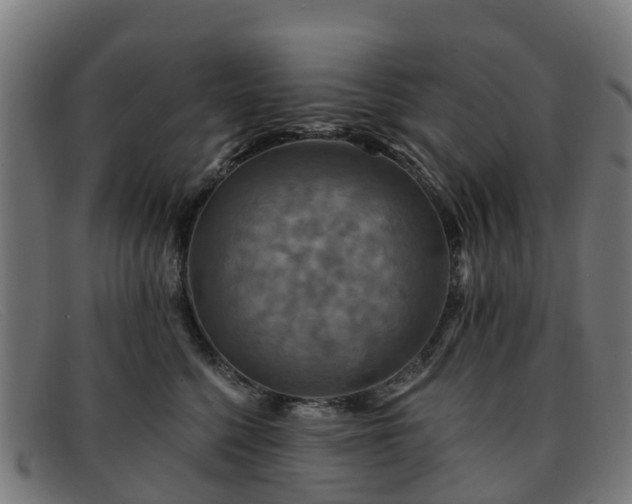 X0000091910568200709121519