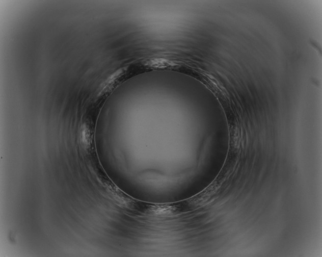 X0000091910569200709121519