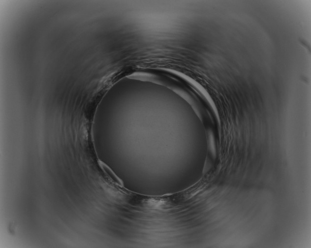 X0000091910570200709121519