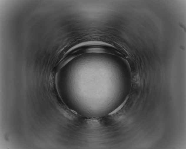 X0000091910572200709121519