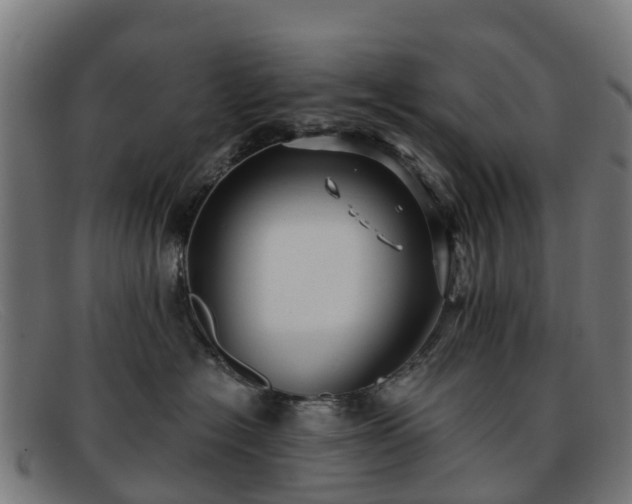 X0000091910574200709121519