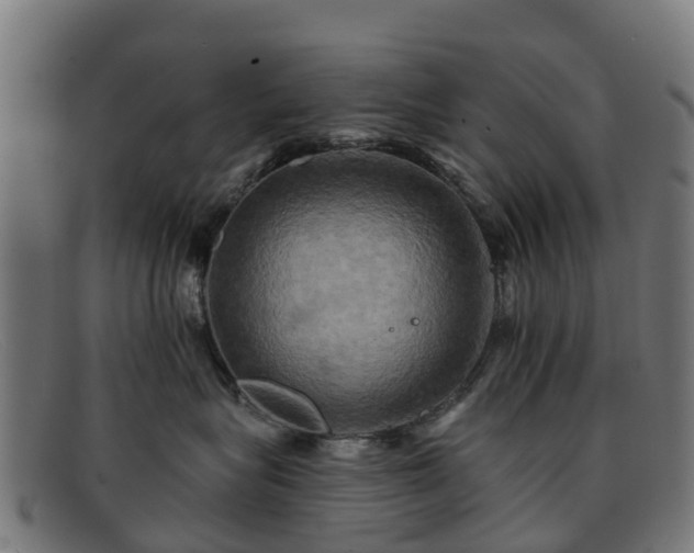 X0000091910575200709121519