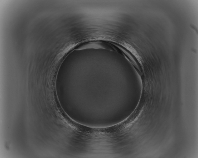 X0000091910577200709121519