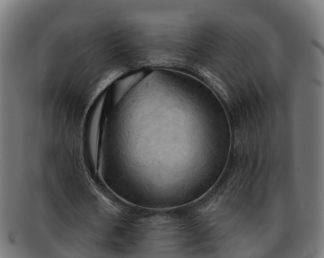 X0000091910578200709121519