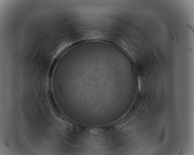 X0000091910579200709121519