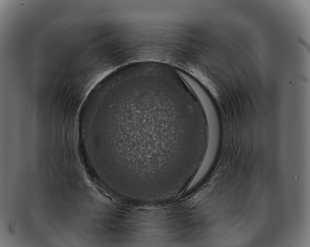 X0000091910580200709121519