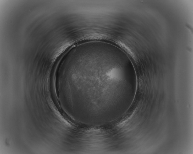 X0000091910581200709121519