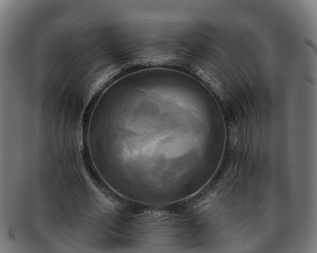 X0000091910582200709121519