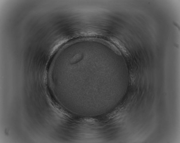 X0000091910583200709121519