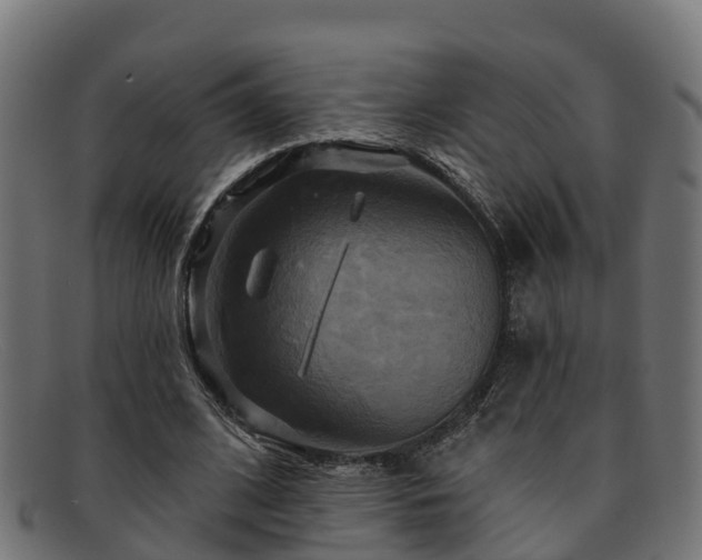 X0000091910584200709121519