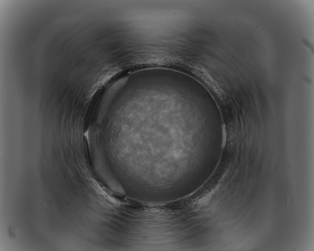 X0000091910585200709121519