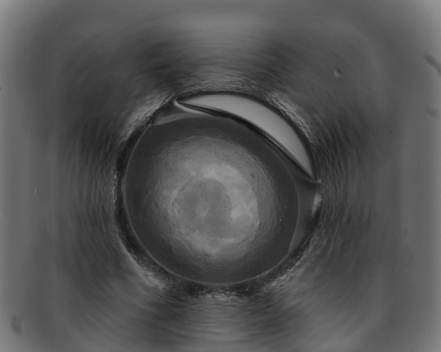 X0000091910586200709121519