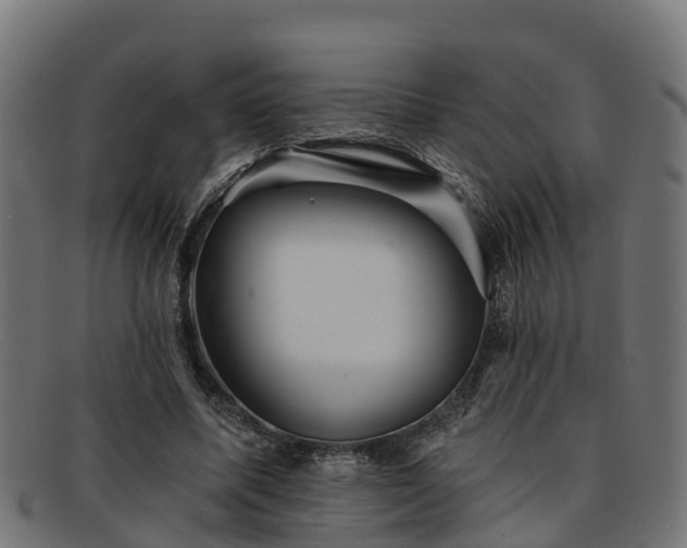 X0000091910587200709121519