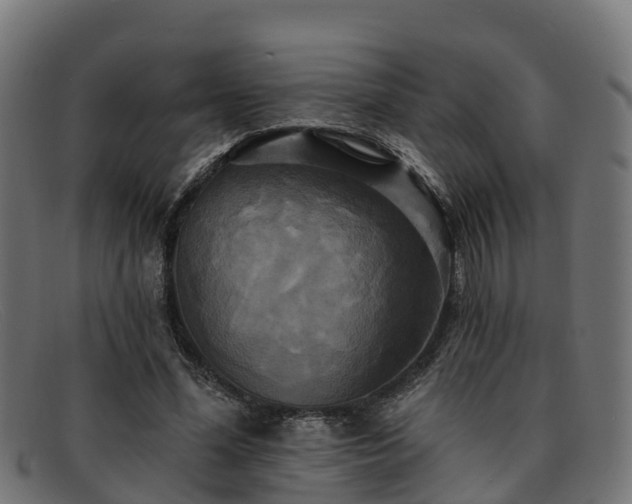 X0000091910588200709121519