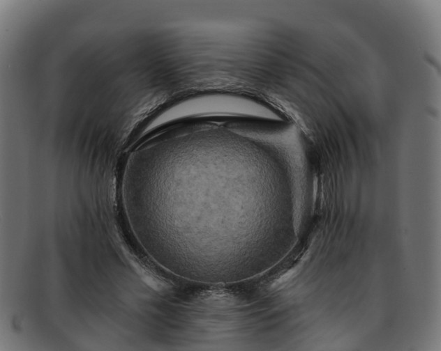 X0000091910589200709121519