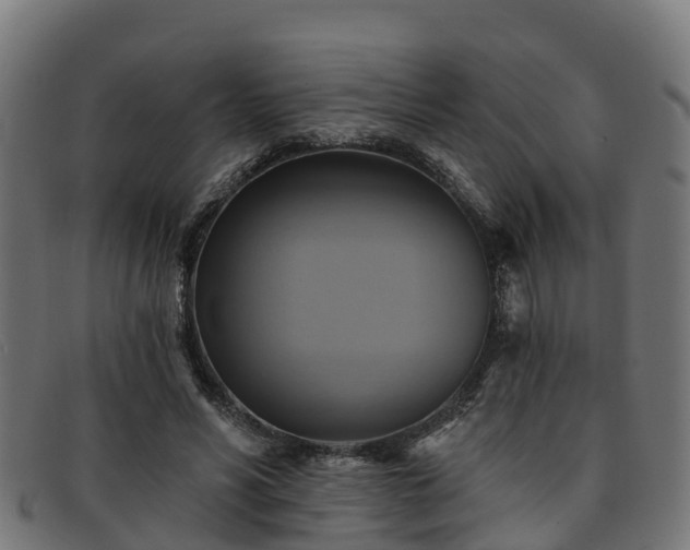 X0000091910590200709121519