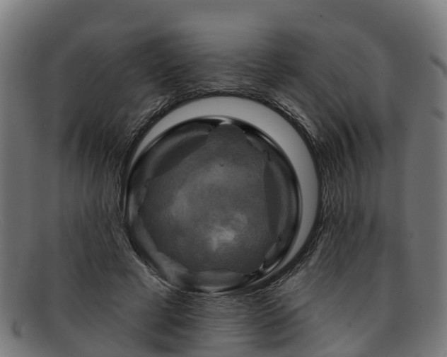 X0000091910593200709121518