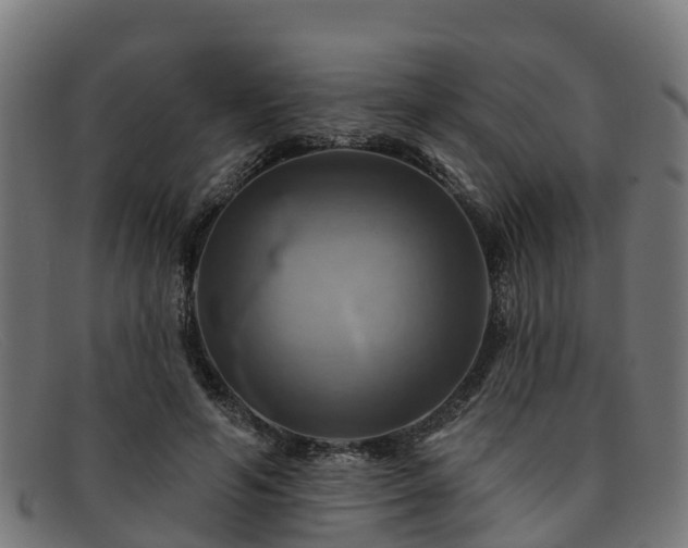 X0000091910594200709121518