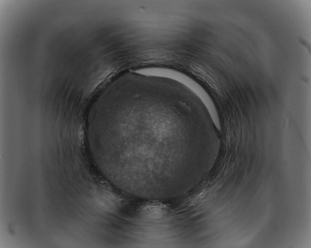 X0000091910595200709121518