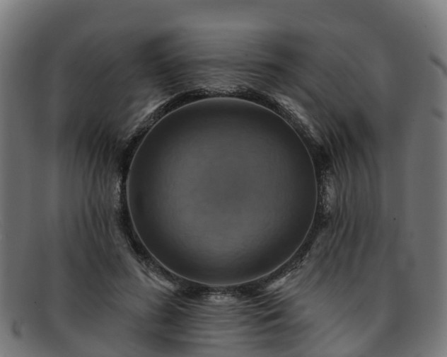 X0000091910596200709121518