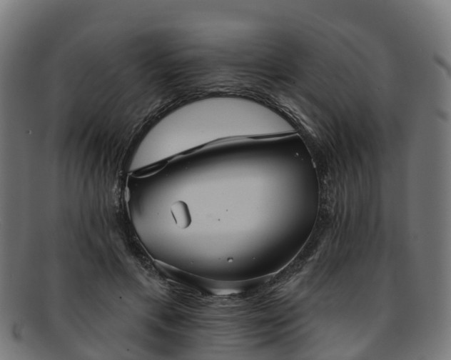 X0000091910597200709121518