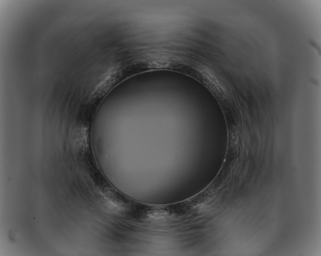 X0000091910598200709121518