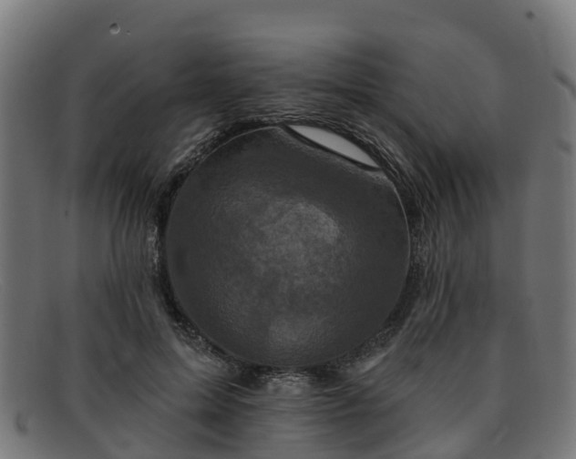 X0000091910599200709121518