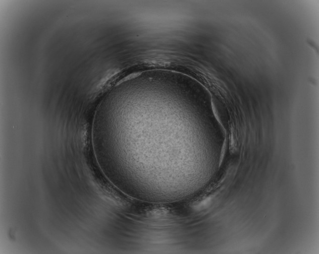 X0000091910600200709121518