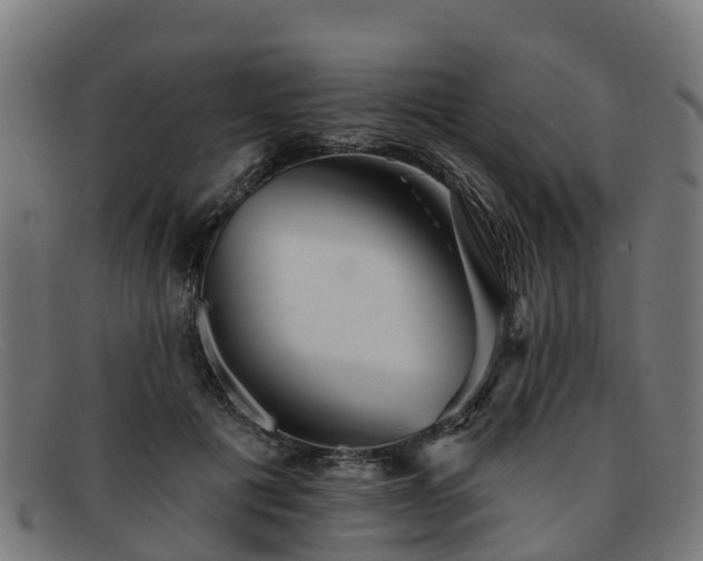 X0000091910601200709121518