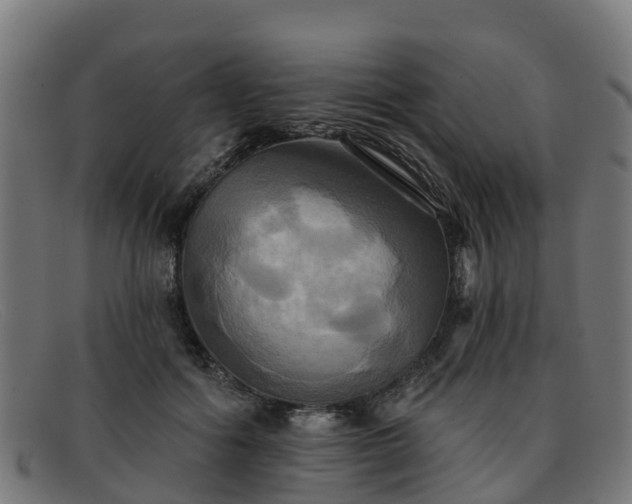 X0000091910602200709121518