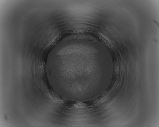 X0000091910603200709121518