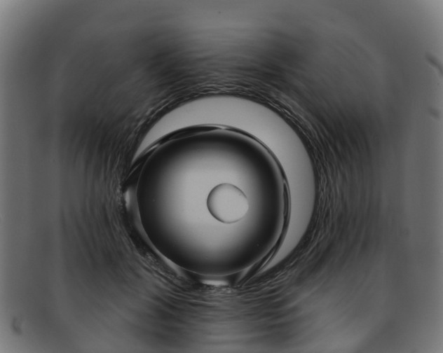 X0000091910604200709121518