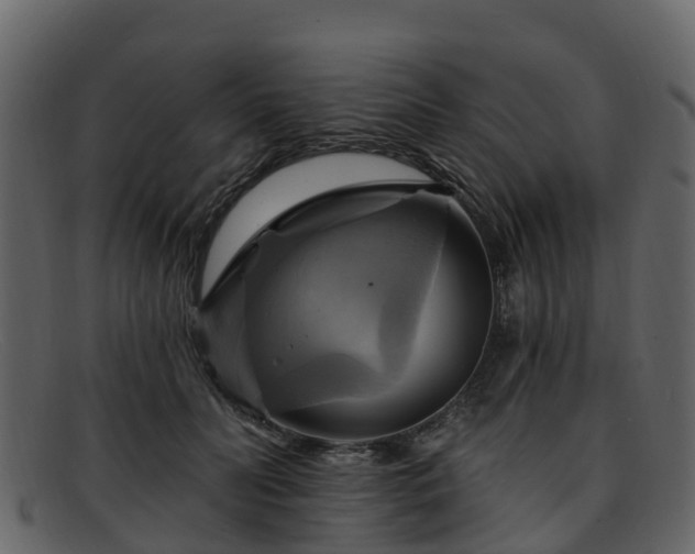 X0000091910606200709121518