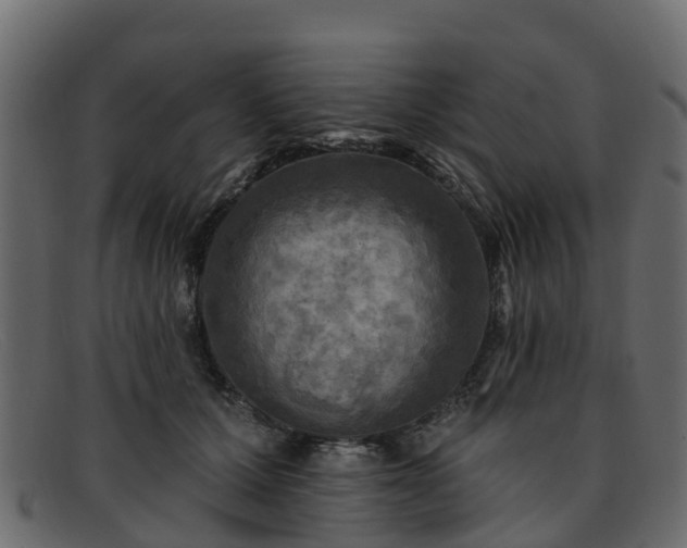 X0000091910607200709121518